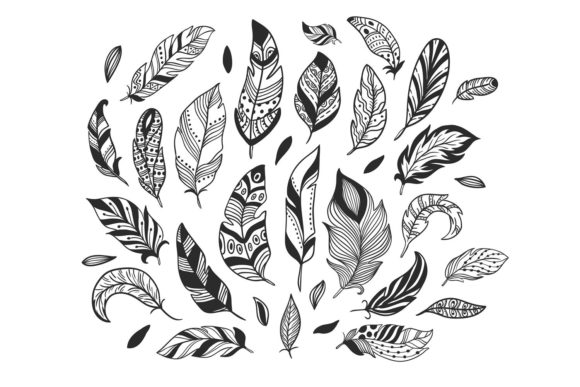Download Hand-Drawn Feathers - Drawn Collection